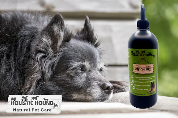Holistic Hound "My old dog" täiendsööt eakale koerale 500ml
